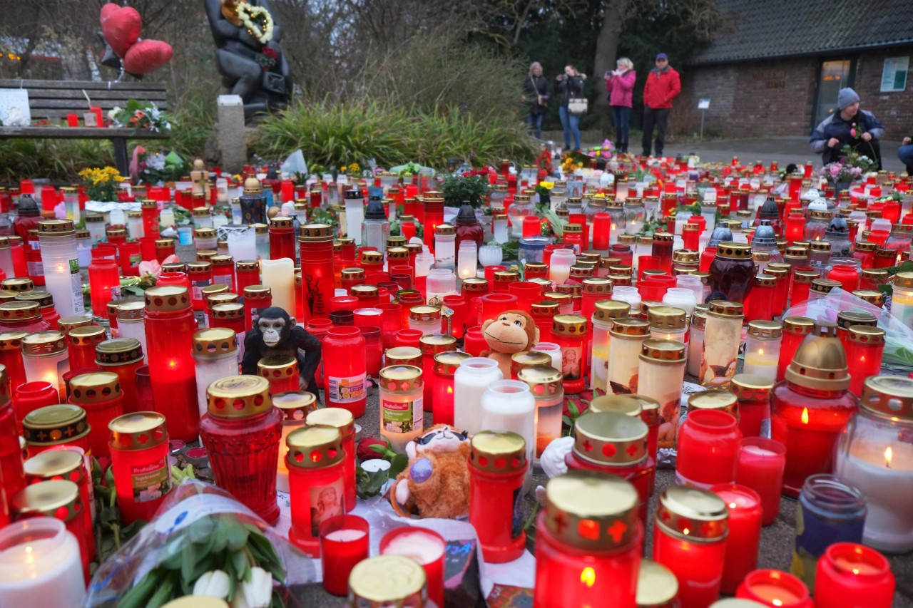 Nach dem Unglück in der Silvesternacht stellten viele Menschen Kerzen am Krefelder Zoo auf.