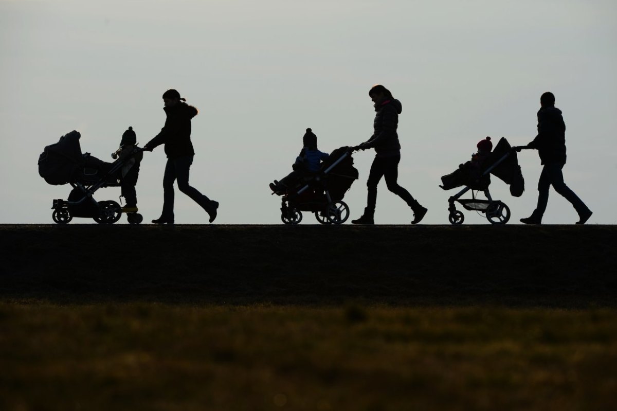 kindergeld-betrug-experte.jpg