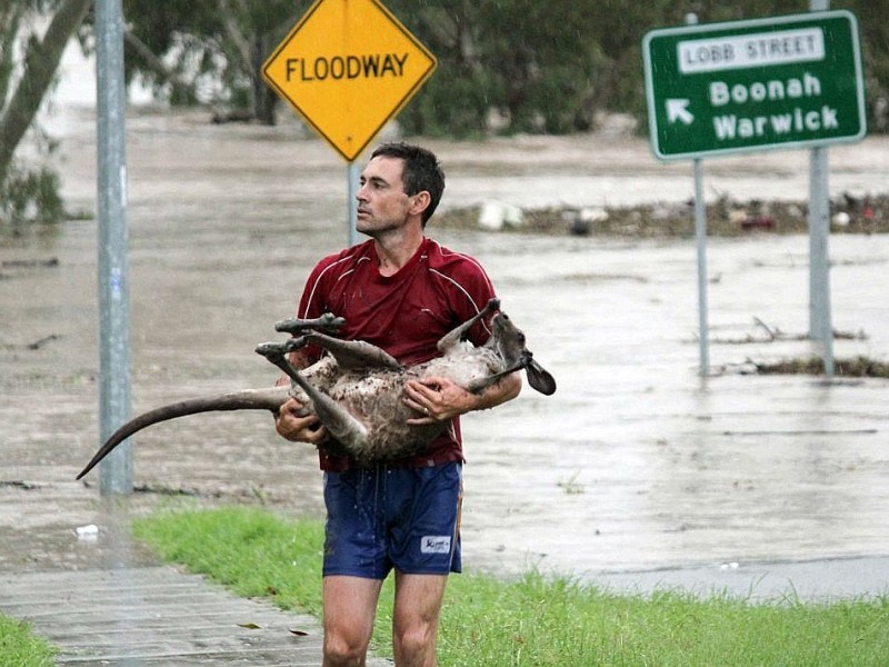 11. Januar: Jahrhunderthochwasser in den australischen Provinzen Queensland und New South Wales. 70 Städte sind betroffen, 35 Menschen verlieren ihr Leben.