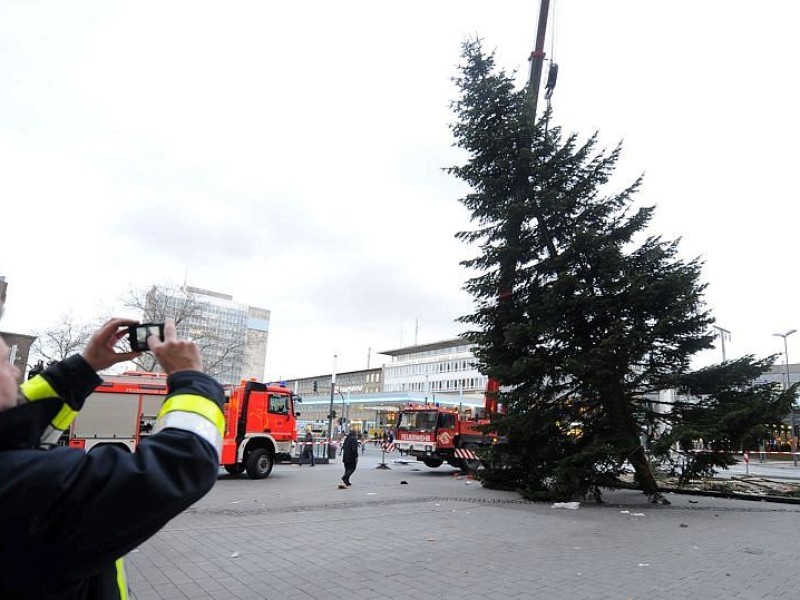 ...wird der Weihnachtsbaum auf dem Willy-Brandt-Platz...