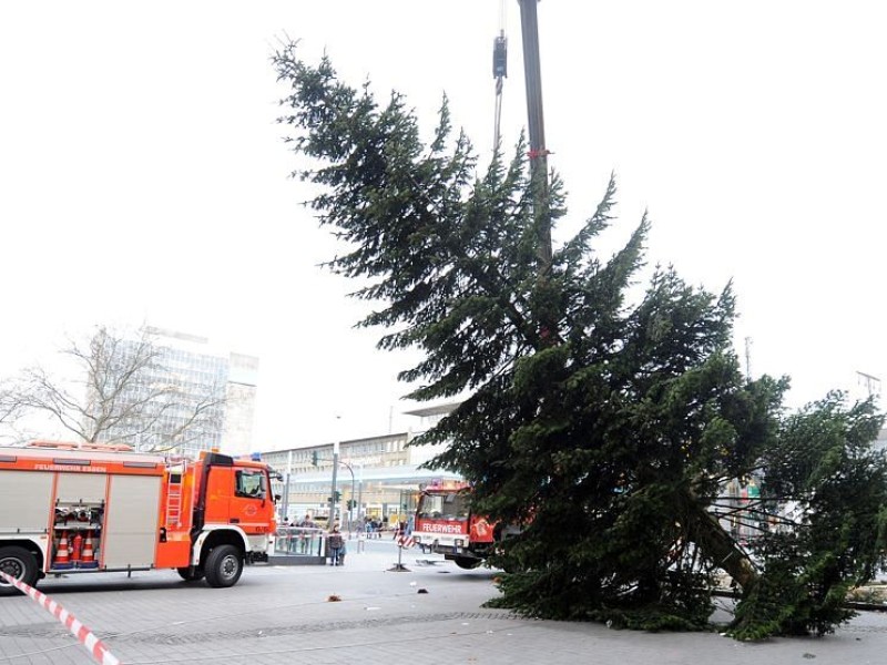 ...wird der Weihnachtsbaum auf dem Willy-Brandt-Platz aus Angst...