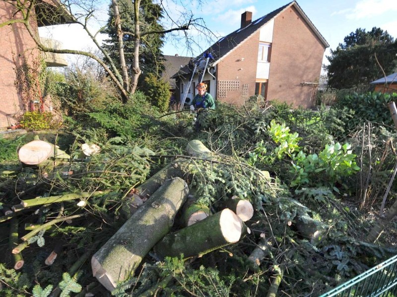 ...hat Sturmtief Andrea einen Baum abknicken lassen, der anschließend das Haus beschädigt hat; er wurde klein gesägt und entsorgt. Auf der Rotthauser Straße...