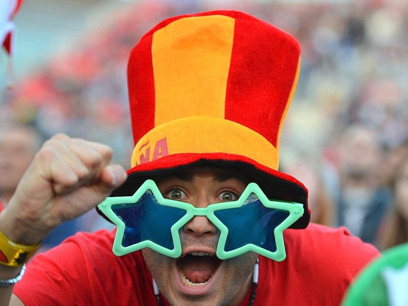 Die schönsten Fan-Bilder bei der EM 2012