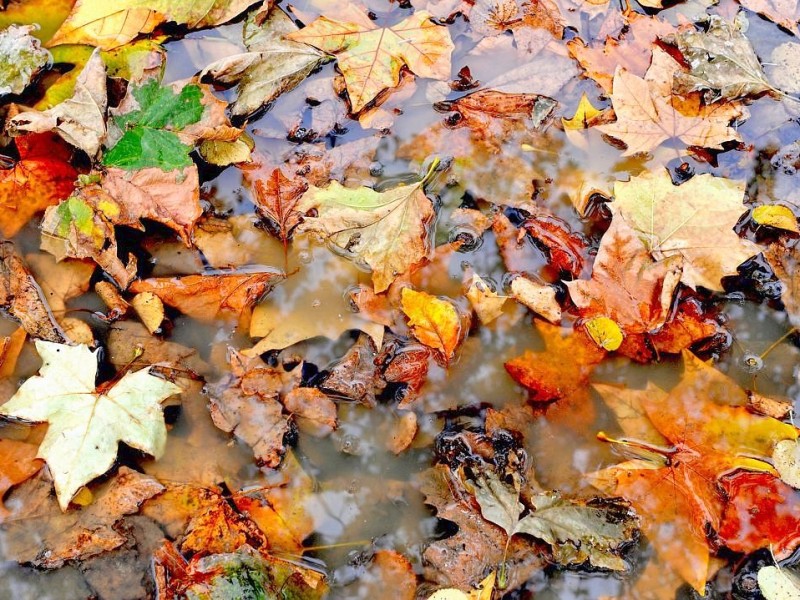 So schön ist der Herbst in NRW!