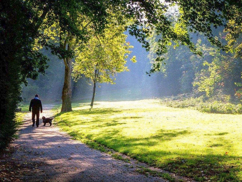 So schön ist der Herbst in NRW!