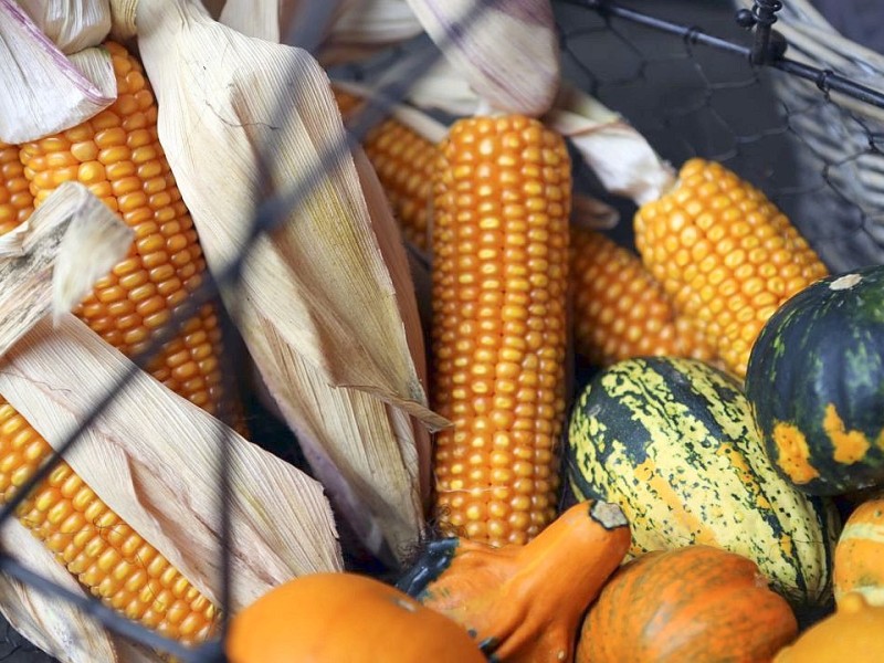 So schön ist der Herbst in NRW!