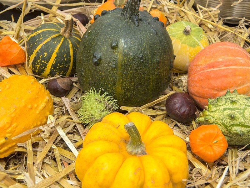 So schön ist der Herbst in NRW!
