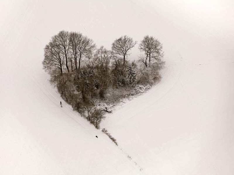 Der Winter hat Nordrhein-Westfalen erreicht. In Datteln steht diese herzförmige Baumgruppe im Schnee.