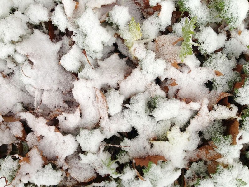 Schneefall im Ruhrgebiet.