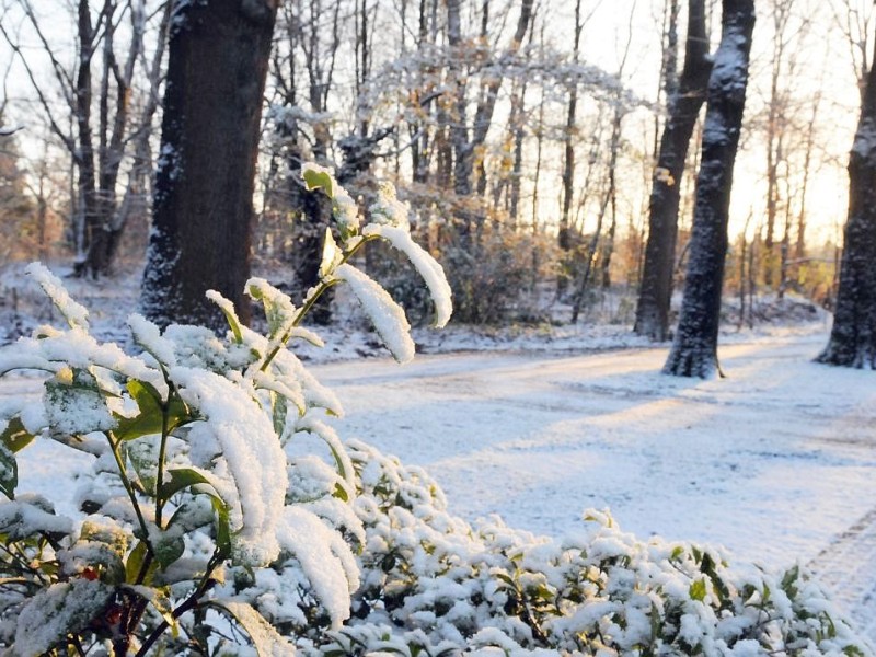 Der 6. Dezember überraschte die Niederrheiner mit Schneefall.
