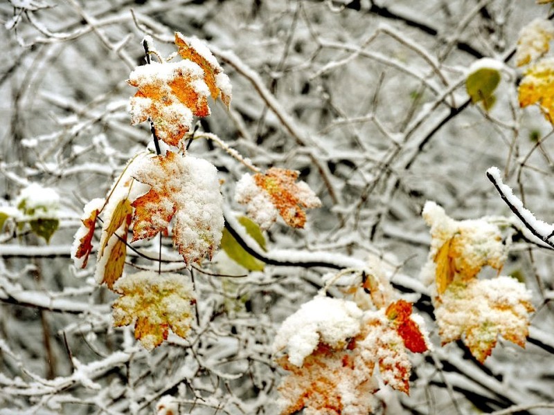 Der Winter zieht mit Schnee und Eis in Duisburg ein. Schnell liegen überall im Stadtgebiet mehrere Zentimeter Schnee.