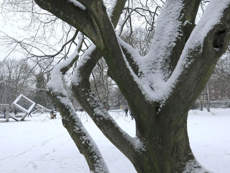 Der Duisburger Kantpark liegt unter Schnee.