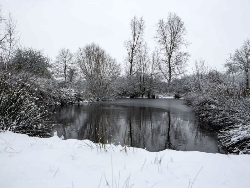 Winterstimmung im Vogelschutzgebiet Bierten.