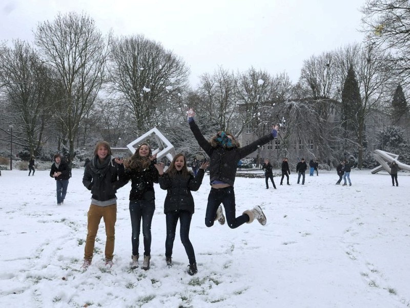 Umweltschützer: Streusalz im Winter schädigt Bäume im Sommer