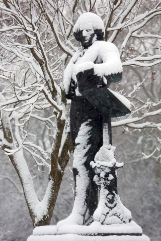 Auch in Düsseldorf schneite es am Freitag. Foto: Stefan Arend / WAZ Fotopool