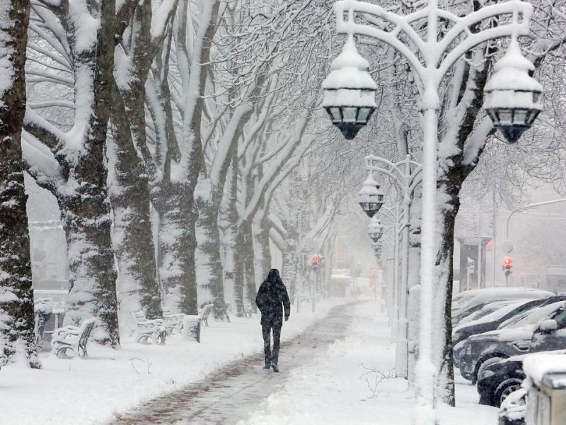 Auch in Düsseldorf schneite es am Freitag. Foto: Stefan Arend / WAZ Fotopool
