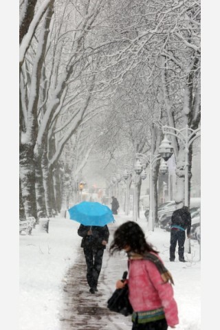 Auch in Düsseldorf schneite es am Freitag. Foto: Stefan Arend / WAZ Fotopool