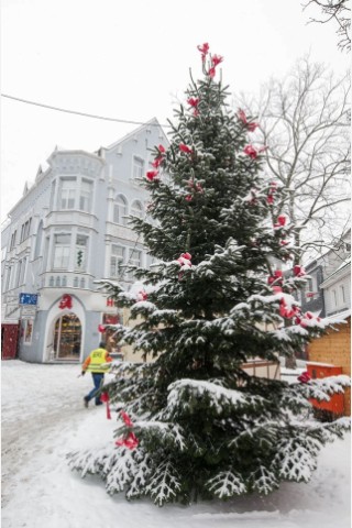 verschneiter Weihnachtsbaum am Bürgerplatz.