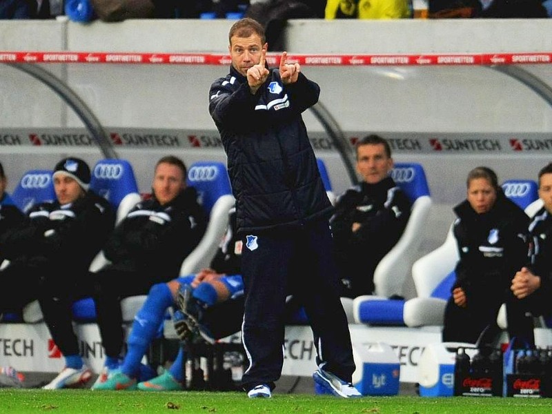 Am 17. Spieltag der Fußball-Bundesliga siegte Borussia Dortmund bei der TSG Hoffenheim mit 3:1. Für den BVB trafen Mario Götze, Kevin Großkreutz und Robert Lewandowski.