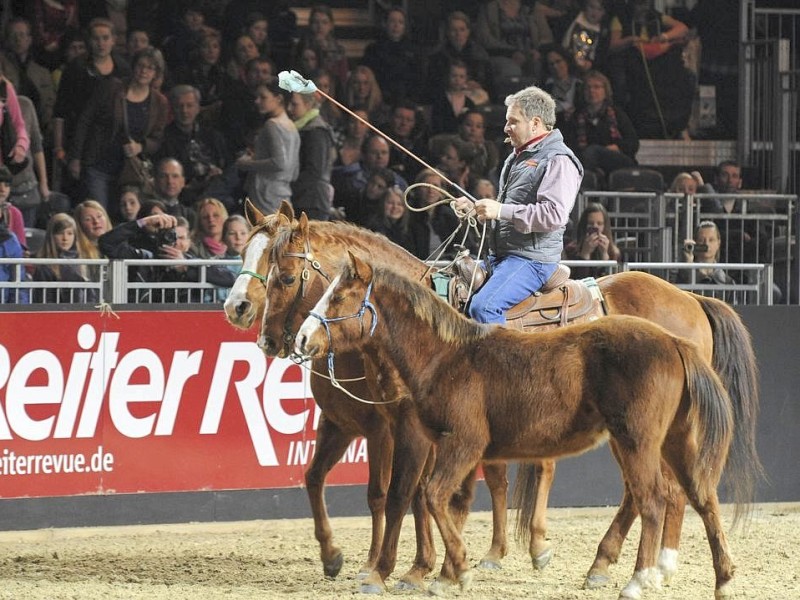 Am Samstag, den 16. März 2013 findet in der Messe Essen die weltgrößte Pferdemesse - Equitana statt.Foto: Alexandra Roth/ WAZ FotoPool