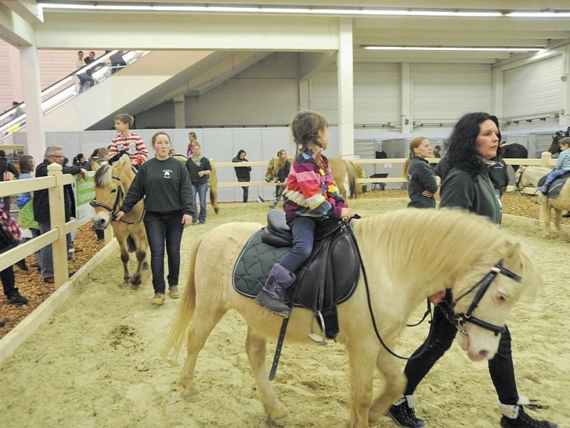 Am Samstag, den 16. März 2013 findet in der Messe Essen die weltgrößte Pferdemesse - Equitana statt.Foto: Alexandra Roth/ WAZ FotoPool