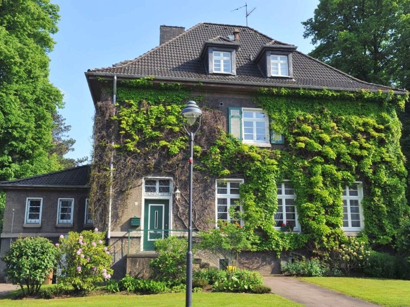 Die Essener Siedlung Altenhof I und II im Juni 2013.