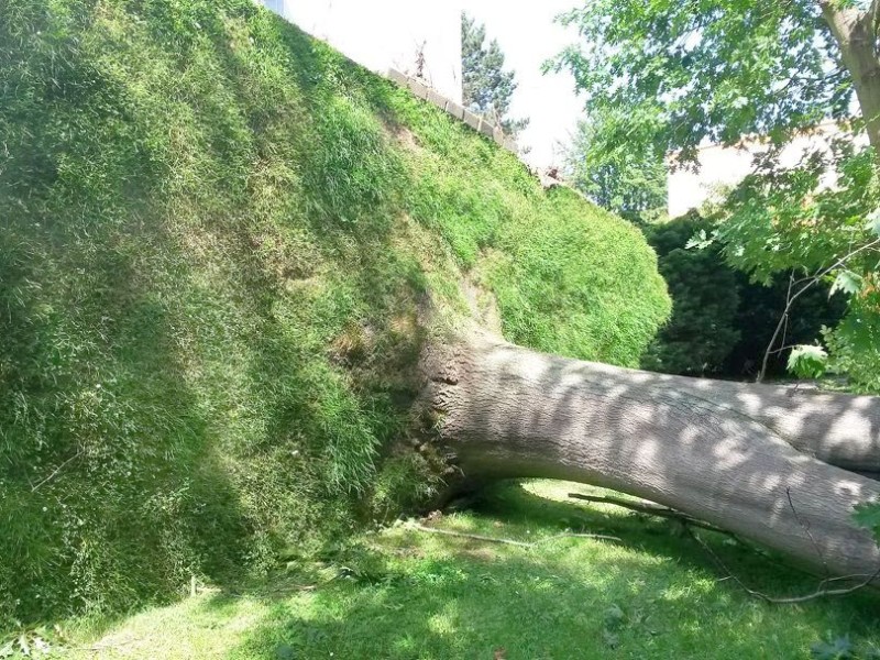 Unwetter Essen Leserfotos Fotos aus Kettwig Hallo WAZ Redaktion, die Fotos 08-11 wurden auf der Graf-Zeppelinstrasse in Kettwig gemacht es gab keine Verletzte. Die Bilder 19-22 sind auf der Nahestrasse entstanden, der Baum ist komplett entwurzelt und kippte auf die Strasse Unterlehberg und begrub dabei ein Fahrzeug. Viele Grüße Kosmas Lazaridis