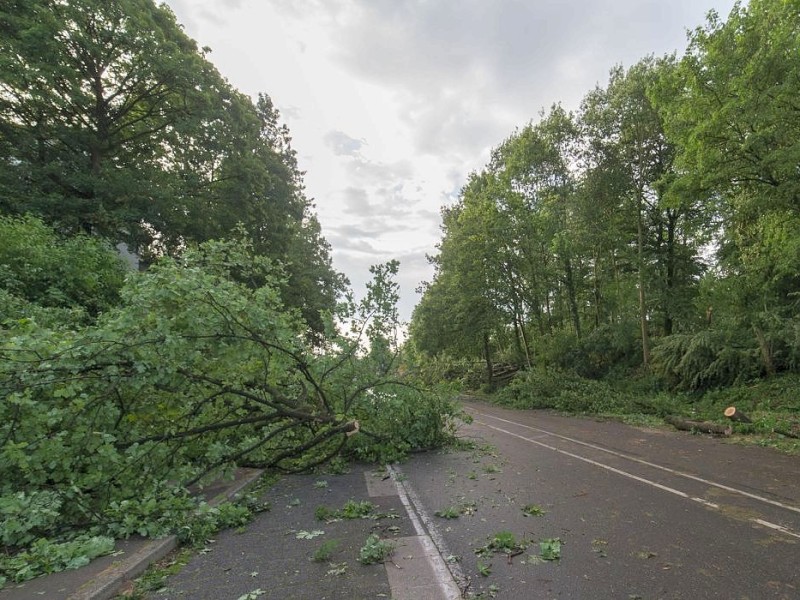 Essen Kettwig - Unwetter am Pfingstmontag - Sturmschäden - Mendener Straße - Foto: Reiner Worm / WAZ FotoPool