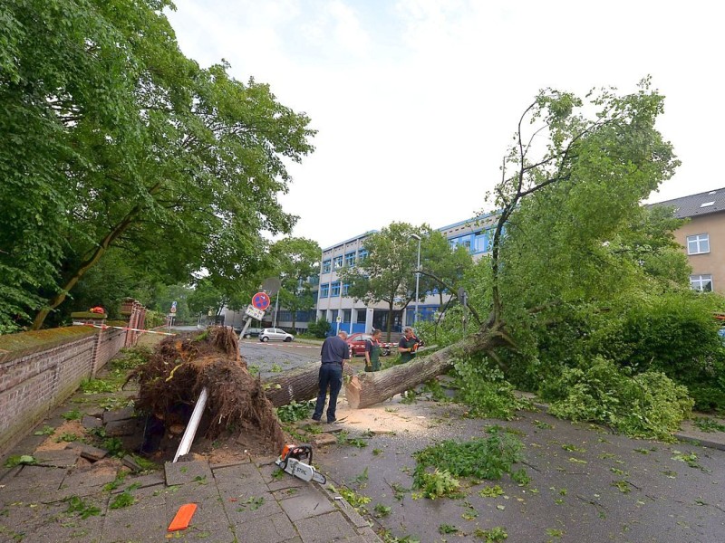 Das Unwetter am 10.6.2014 in Essen-Kettwig. Vor dem Theodor-Heuss-Gymnasium war die Straße durch einen entwurzelten Baum unpassierbar. Foto : H.W. Rieck WAZ FotoPool