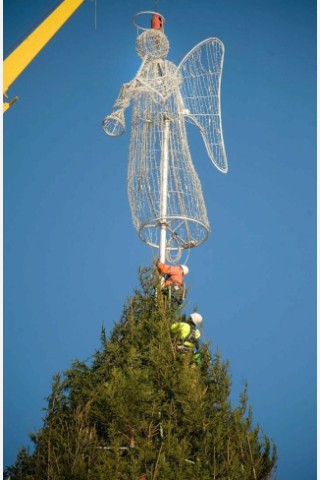 Der Engel wird auf der Spitze des Dortmunder Weihnachtsbaums angebracht. Riesentanne Weihnachtsmarkt.Foto: Knut Vahlensieck