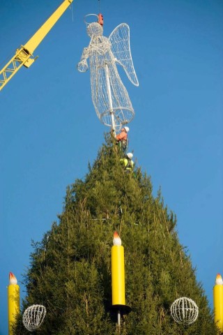 Der Engel wird auf der Spitze des Dortmunder Weihnachtsbaums angebracht. Riesentanne Weihnachtsmarkt.Foto: Knut Vahlensieck