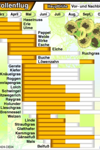 Ein Pollenkalender schafft eine nützliche Übersicht.