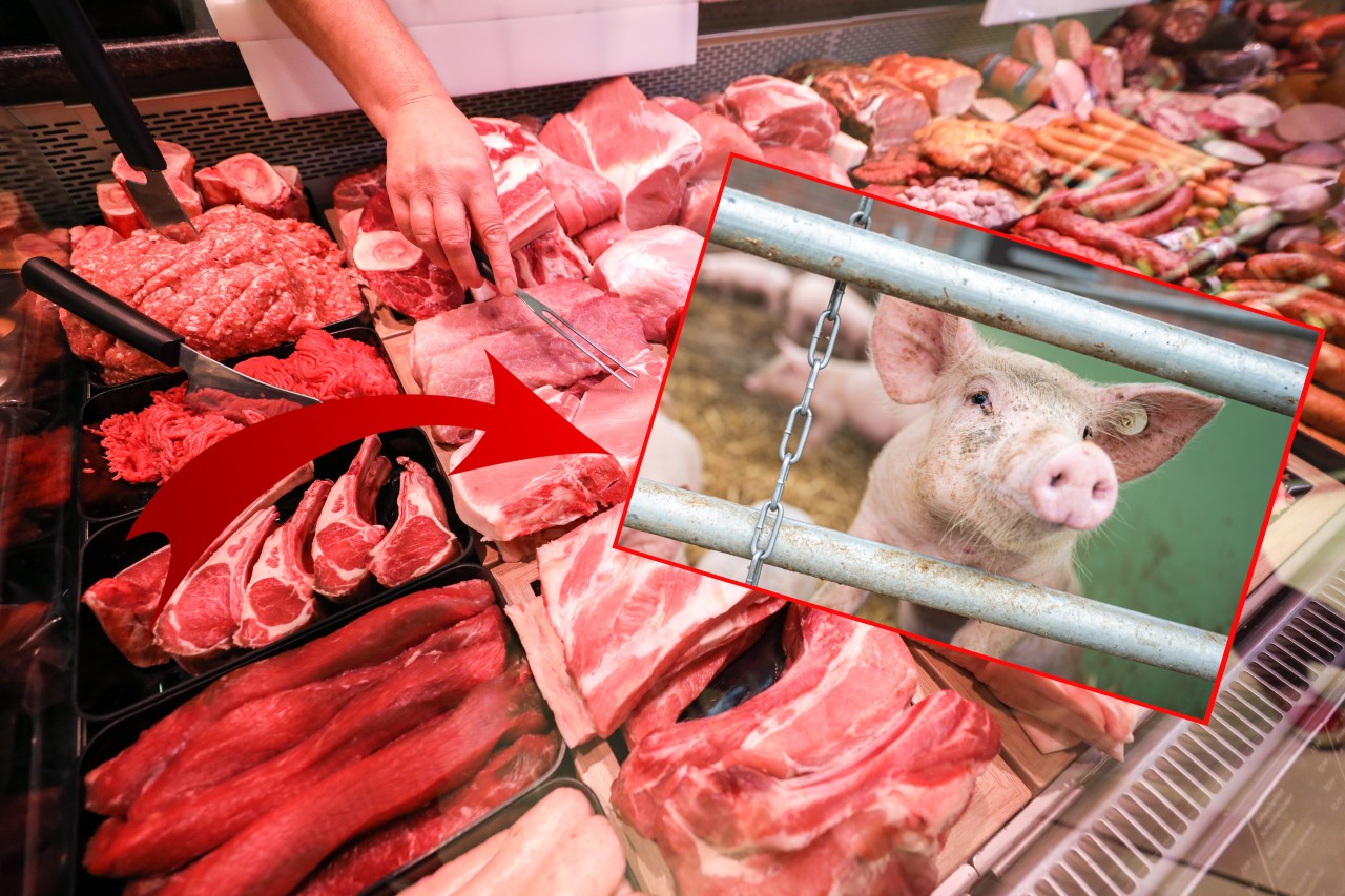 Rewe in Düsseldorf: An der Fleischtheke bekommen Kunden jetzt ungewöhnliche Videos in einer Filiale zu sehen.