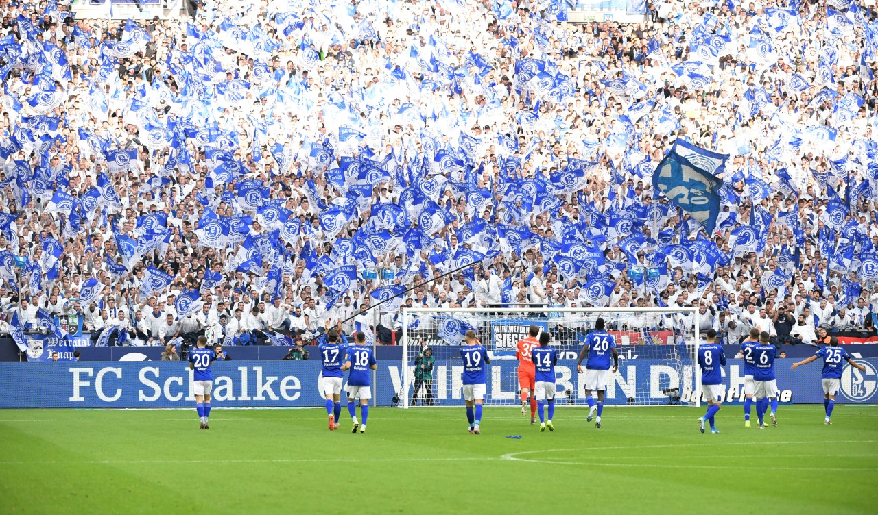 Schalke freut sich auf die Fan-Rückkehr.