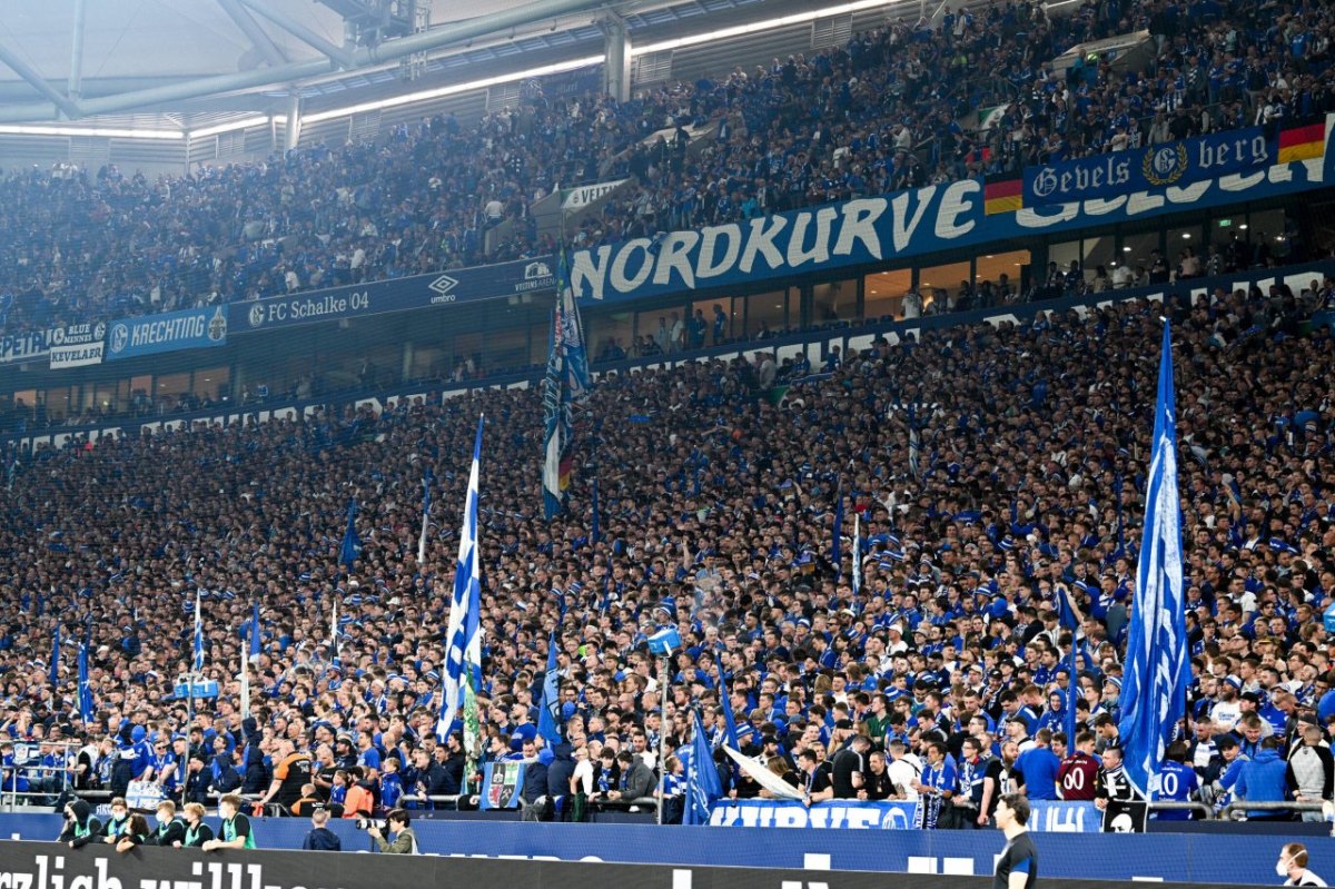 schalke-arena.jpg