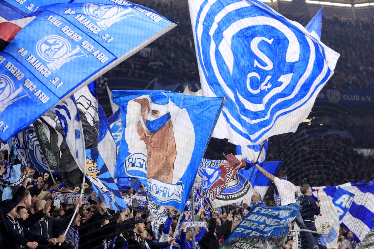 Während zwei Schalke-Fans beim Spiel gegen City für Negativ-Schlagzeilen sorgten, feuerte der restliche S04-Anhang sein Team lautstark an.