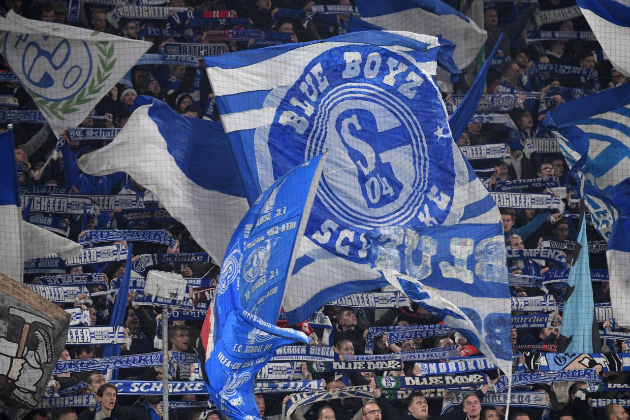 Auch durch den schlimmen Vorfall auf Schalke haben deutsche Fans ihren guten Ruf in England nicht verloren.