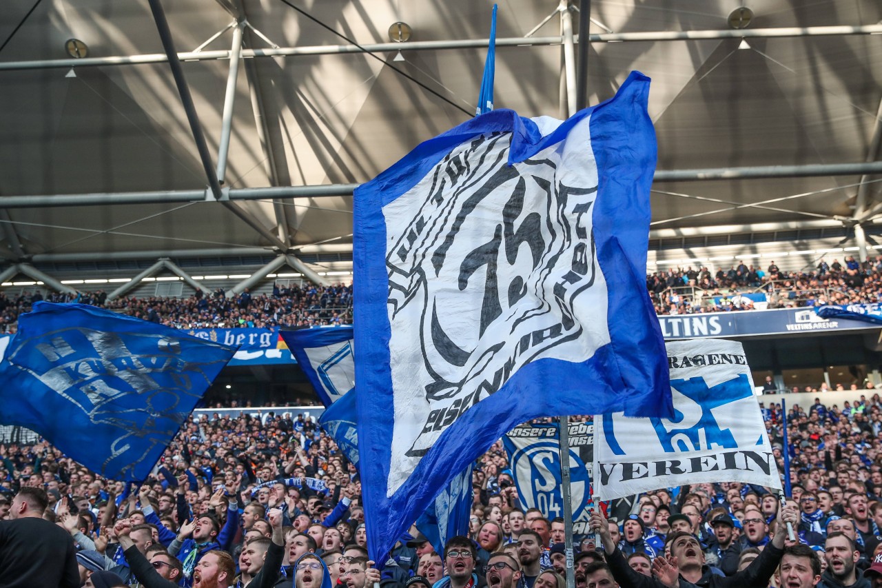 Im Stadion die große Liebe zu finden, kann schwierig sein. Ein Schalke-Fan will nun helfen.
