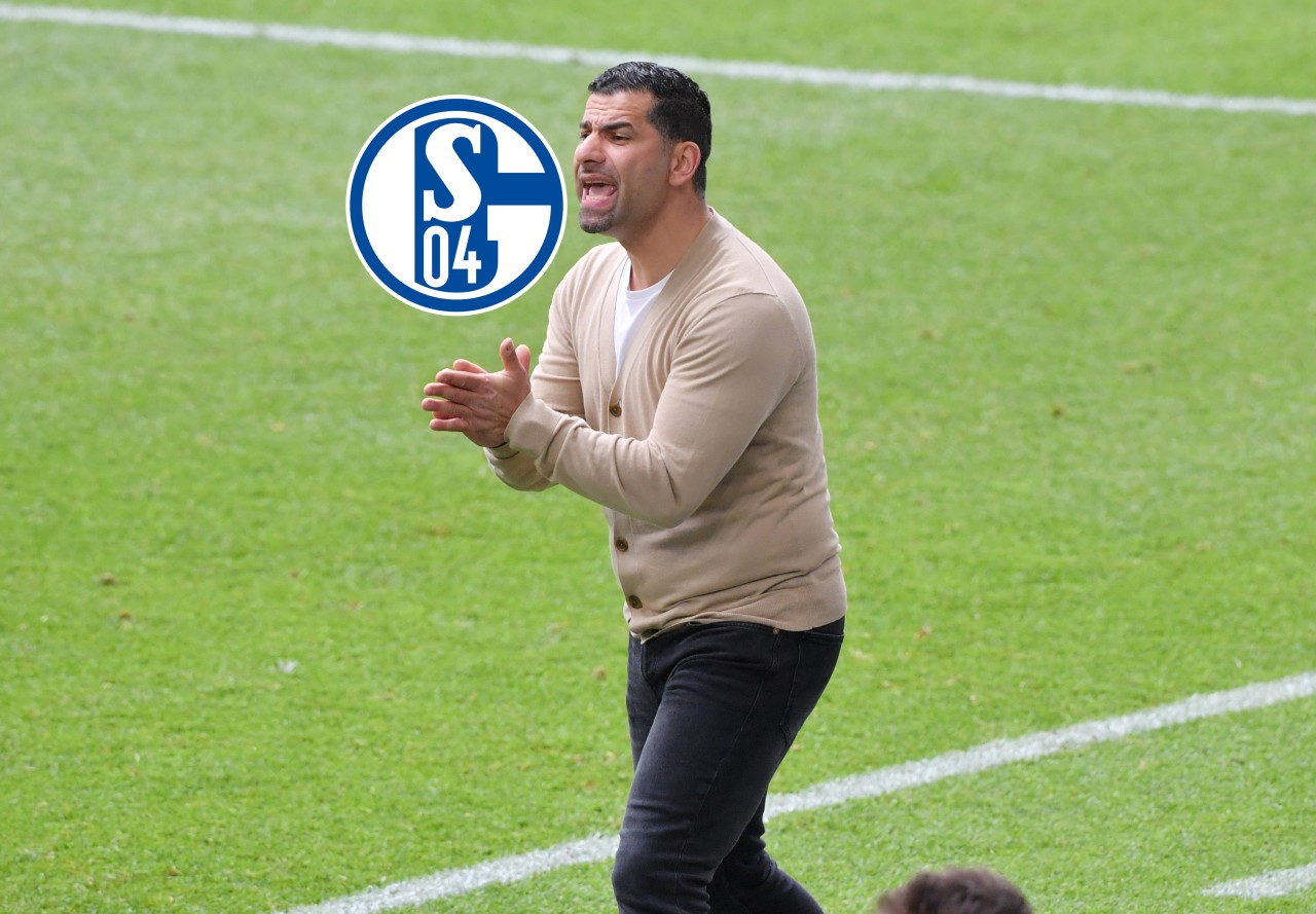 FC Schalke 04: Dimitrios Grammozis hält sich zurück.