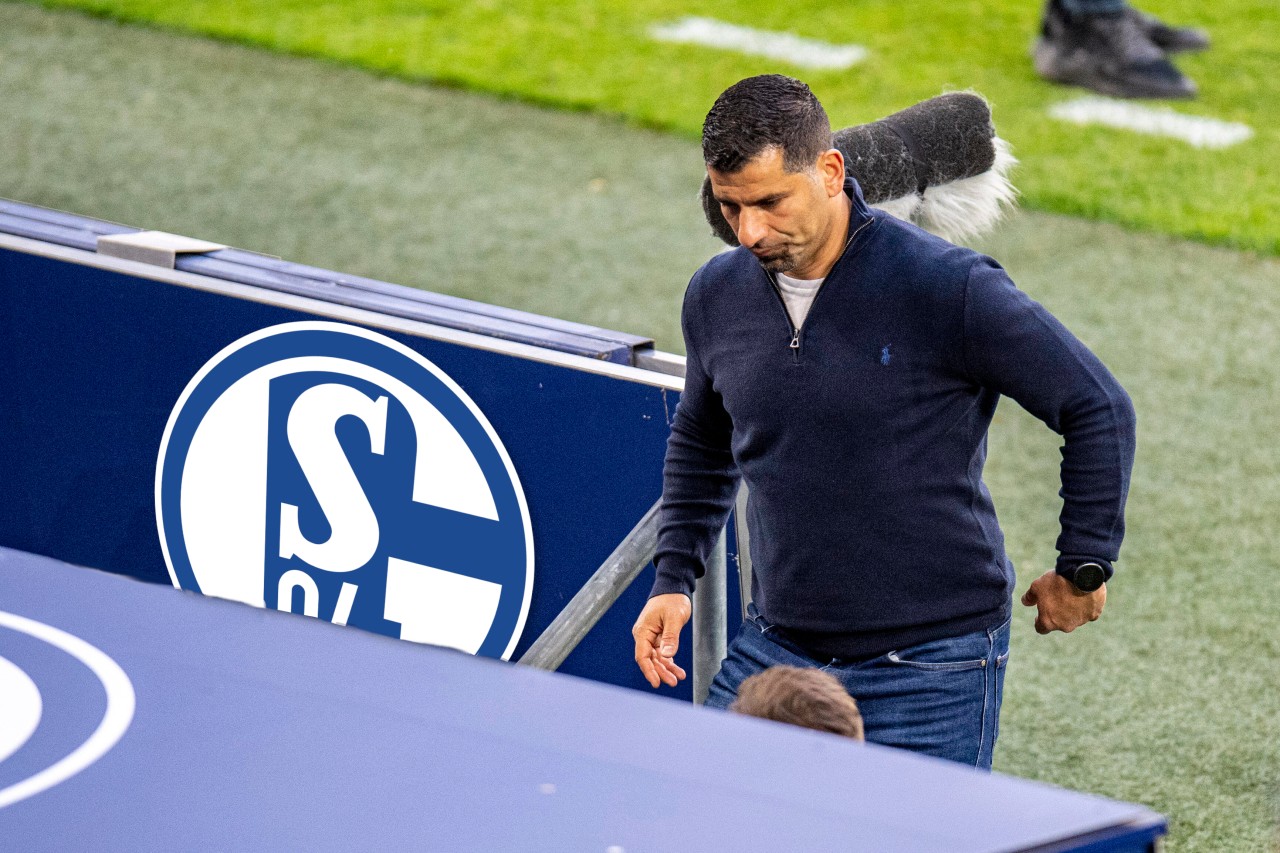 Beim FC Schalke 04 wächst der Druck auf Trainer Dimitrios Grammozis.