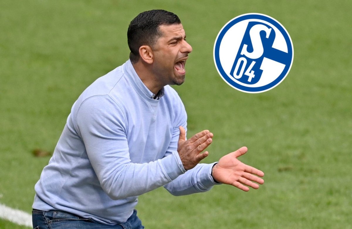 schalke-grammozis-hertha