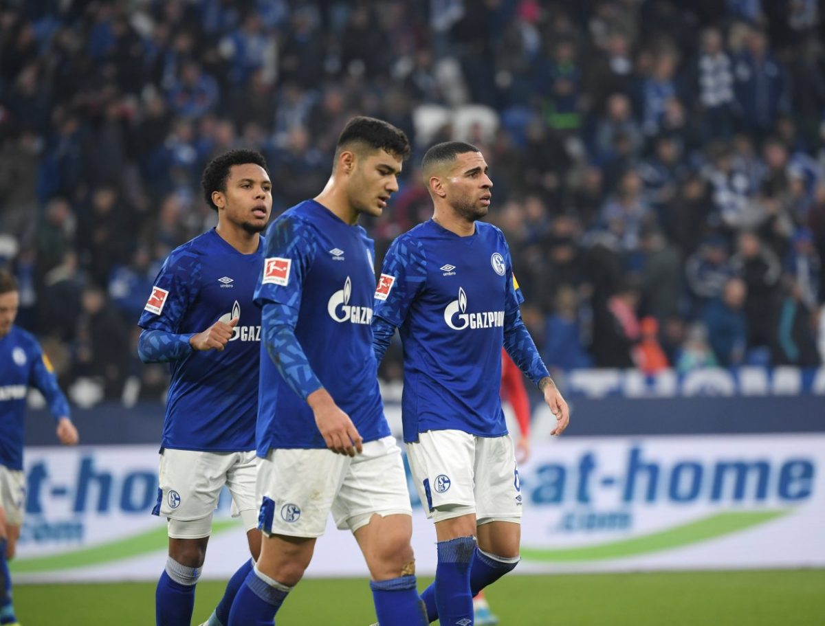 schalke-mckennie.jpg