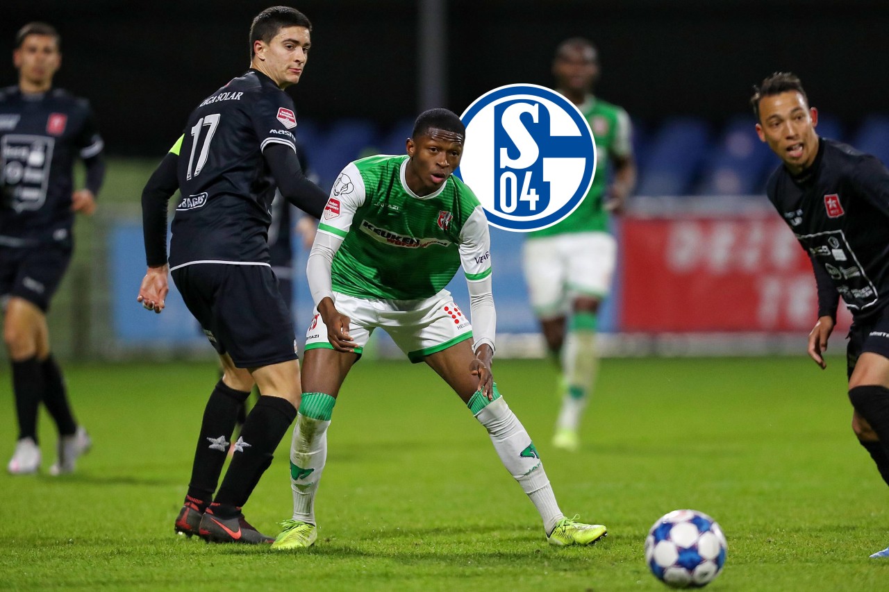 Der FC Schalke 04 hat Nelson Amadin verpflichtet.