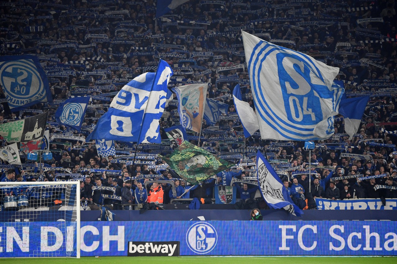 In der Kurve des FC Schalke 04 kommt es immer wieder zu Gewalt unter Fans.
