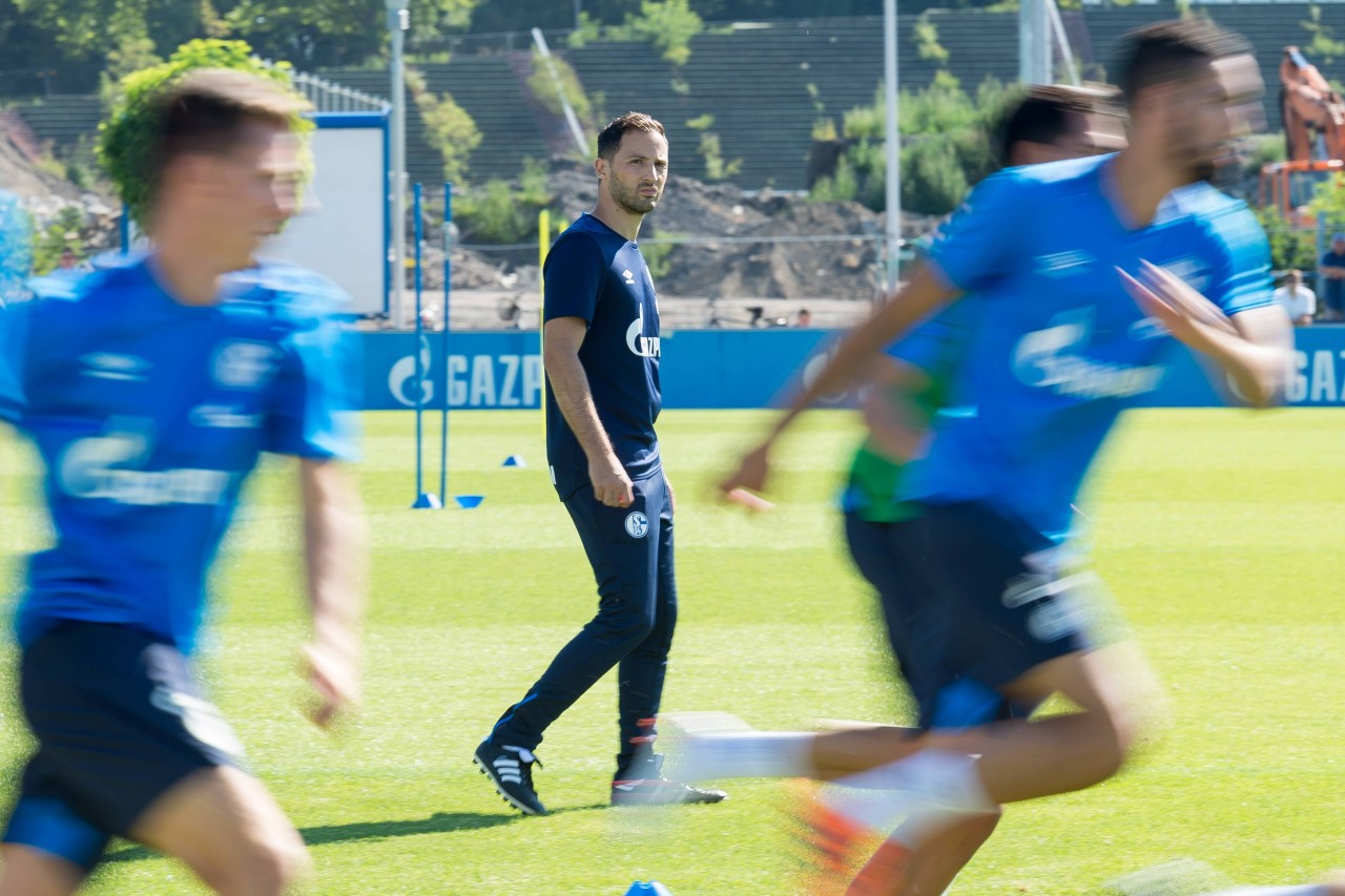 Domenico Tedesco ist seit Sommer 2017 Trainer auf Schalke.