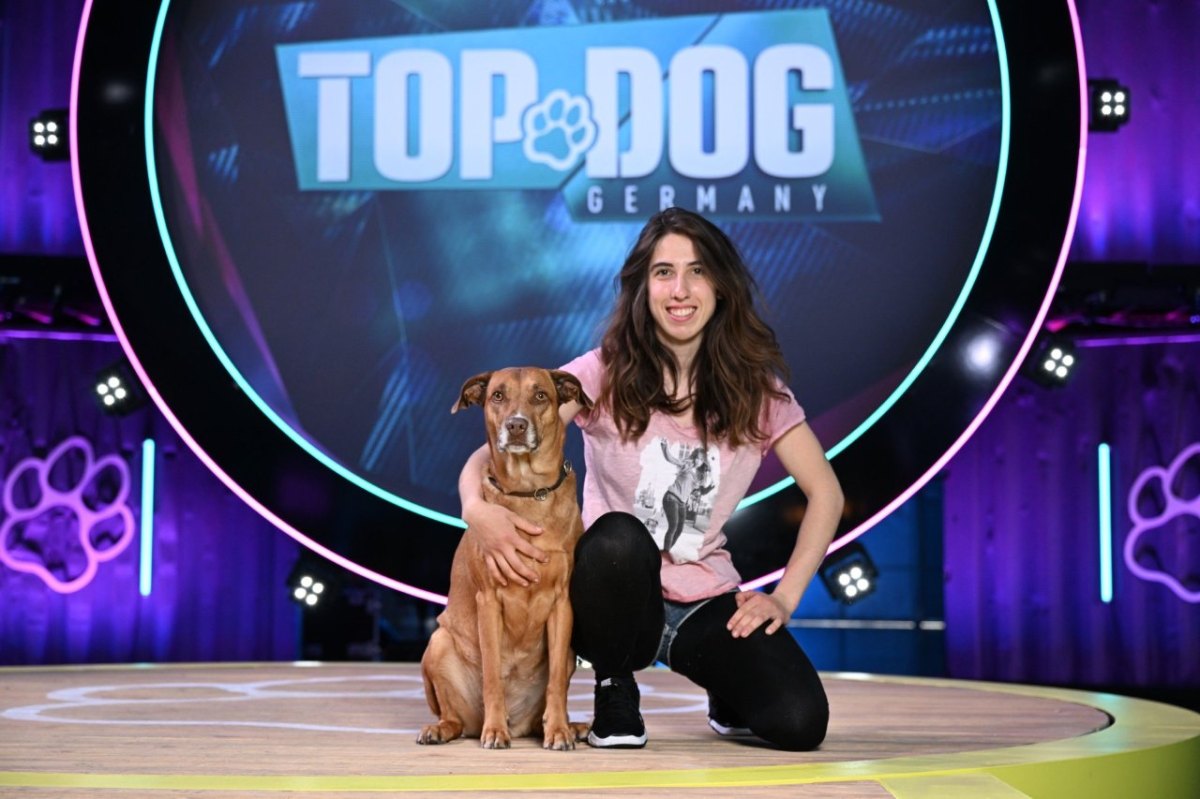 top-dog-silah-hund-huhn.jpg