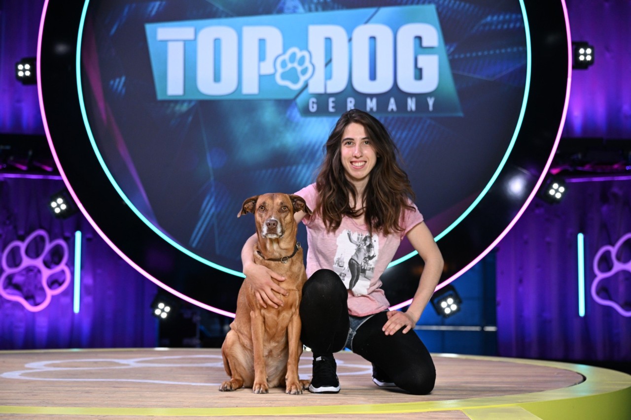 Jamina Silah mit ihrem Australian Shepherd, Boxer, Ridgeback "Gin" an "Top Dog Germany" auf RTL teil. 