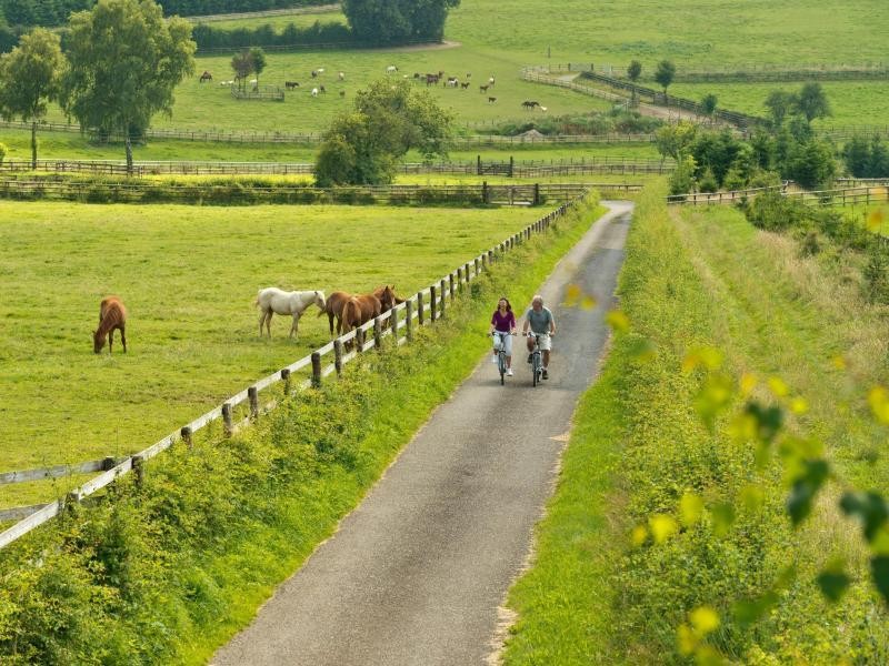 Grün und saftig sind die Niederungen im Osten Belgiens - ein kleiner Traum für Radtouristen.