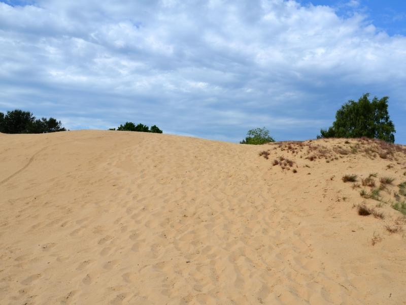 Ist das Sylt? Nein - die Altwarper Dünen mit ihrem weichen, hellen Sand sind ein Markenzeichen der Region am Stettiner Haff.