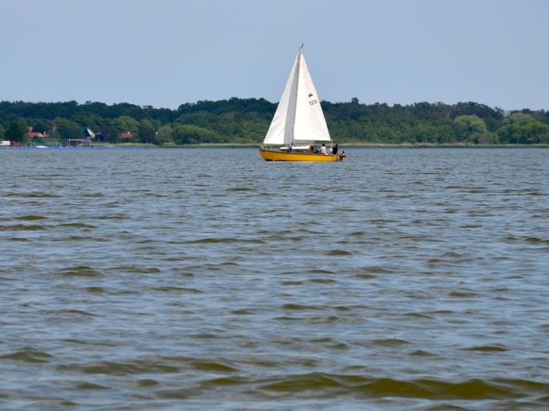 Unbewusst ins andere Land: Beim Schippern auf dem Neuwarper See ist auf polnischer Seite Nowe Warpno zu sehen, Neuwarp also.